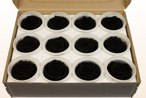Taille S, 12 roses