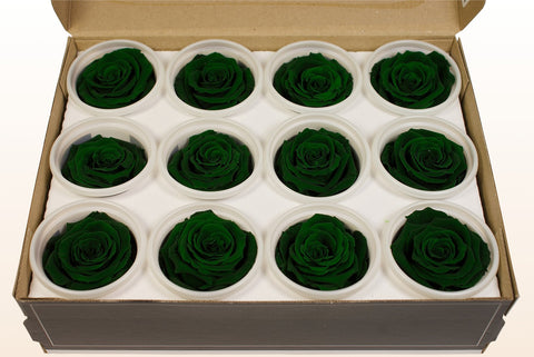 Taille S, 12 roses