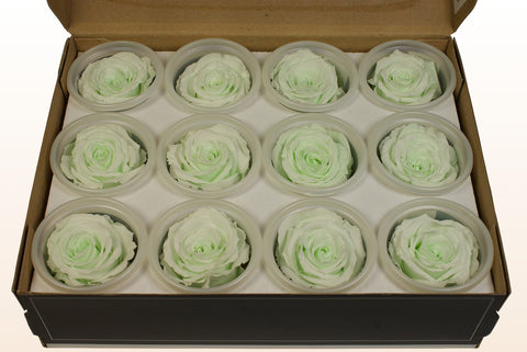Taille S, 12 roses