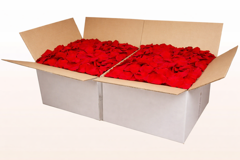 2 x Boîte de 24 litres