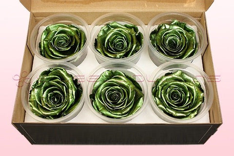 Taille XL, 6 roses