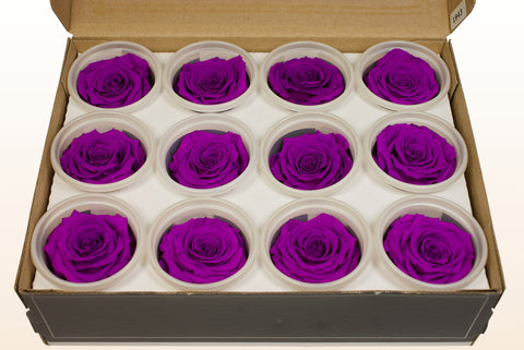 Taille S, 12 roses